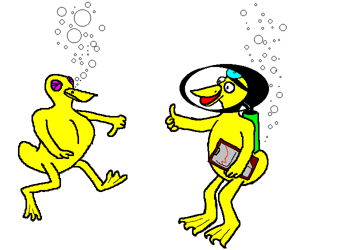 Dr Duck